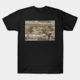 Wood texture of tree trunk, close-up, texture, background T-Shirt